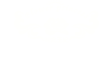 河间市国宝化工有限公司