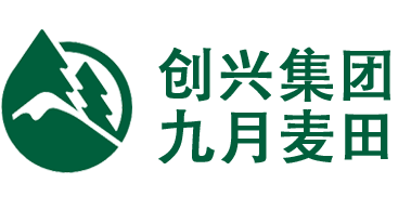 新疆奇台创兴绿色小麦面粉及挂面