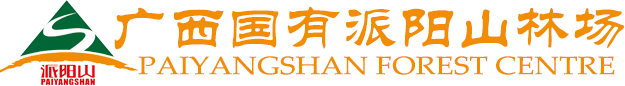 首页