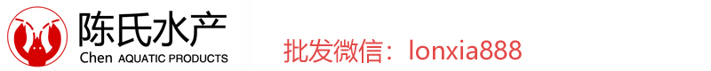 湖北潜江小龙虾