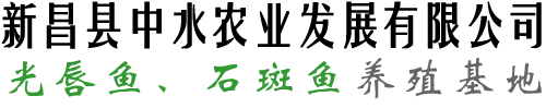 石斑鱼,光唇鱼养殖基地