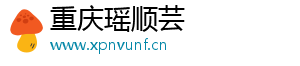 重庆瑶顺芸网络科技有限公司